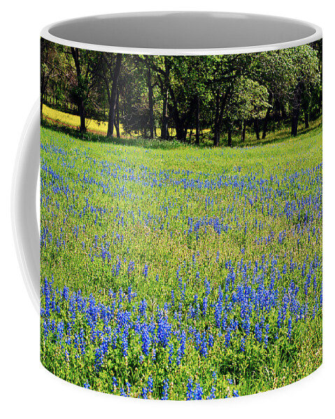 Field Of Wildflowers Coffee Mug featuring the photograph Meadows of Blue and Yellow. Texas Wildflowers by Connie Fox