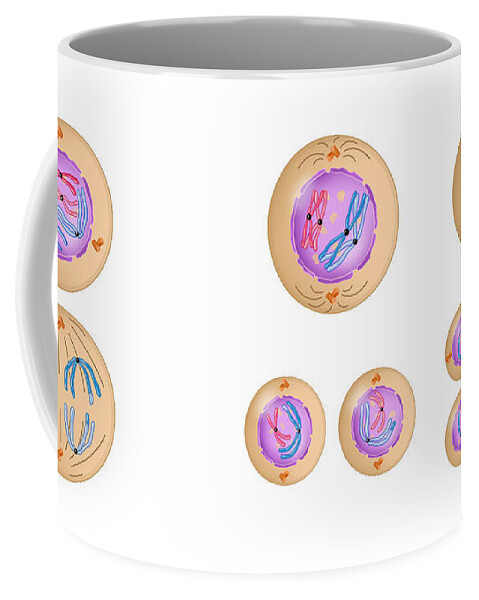 Meiosis Coffee Mug featuring the photograph Meiosis by Carlyn Iverson