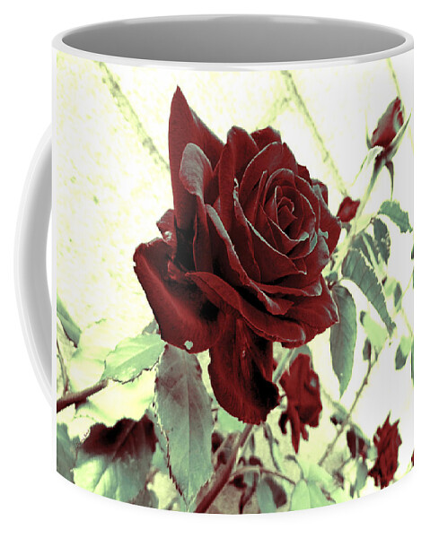 Rose Coffee Mug featuring the photograph Melancholy Rose by Shawna Rowe