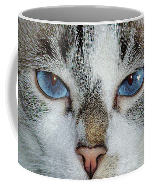 Cat Coffee Mug featuring the photograph Meow by Tikvah's Hope