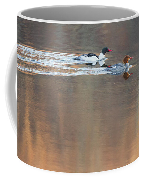 Reflection Coffee Mug featuring the photograph Merganser Morning by Bill Wakeley