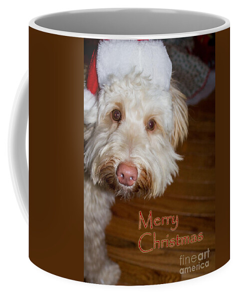 White Coffee Mug featuring the photograph Merry Christmas from a Labrdoodle card by Sandra Clark