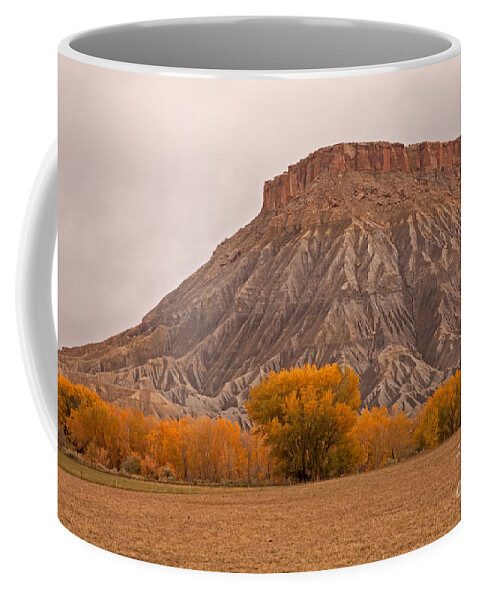 Afternoon Coffee Mug featuring the photograph Mesa by Fred Stearns