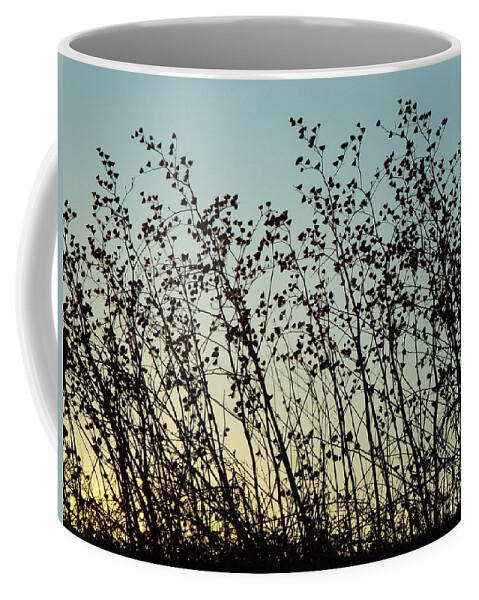 Sunset Coffee Mug featuring the photograph Mid Winter Silhouette by Caryl J Bohn