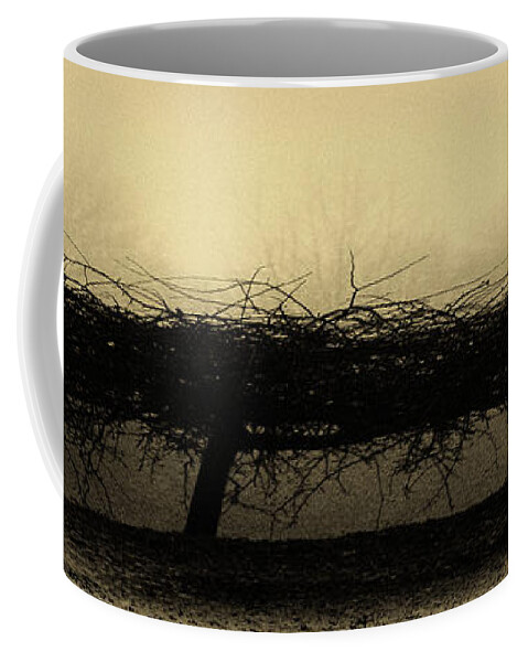 Antique Yellow Coffee Mug featuring the photograph Middlethorpe Tree In Fog Antique Yellow Panorama by Tony Grider