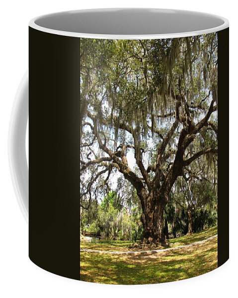 Mighty Oak Coffee Mug featuring the photograph Mighty Oak by Beth Vincent