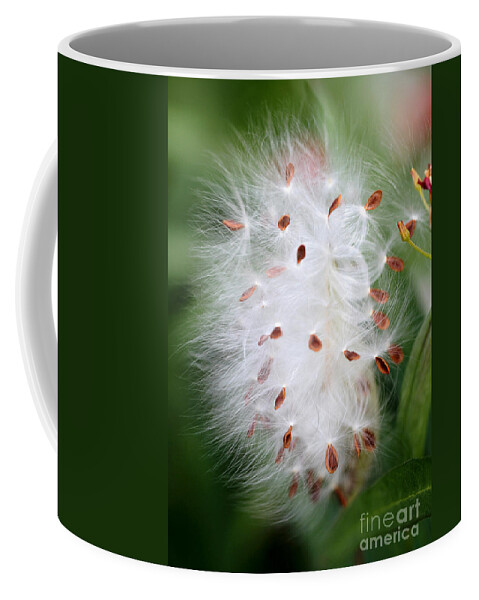 Macro Coffee Mug featuring the photograph Milkweed Explosion by Sabrina L Ryan