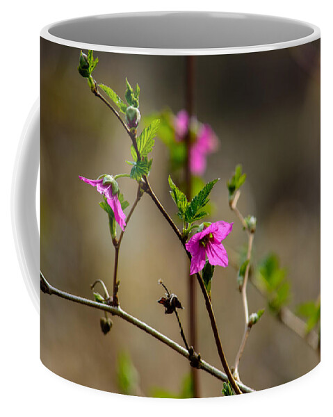 Plants Coffee Mug featuring the photograph Mini Miracles by Tikvah's Hope
