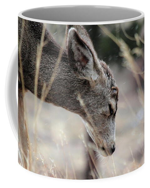 Misery Coffee Mug featuring the photograph Misery by Shane Bechler