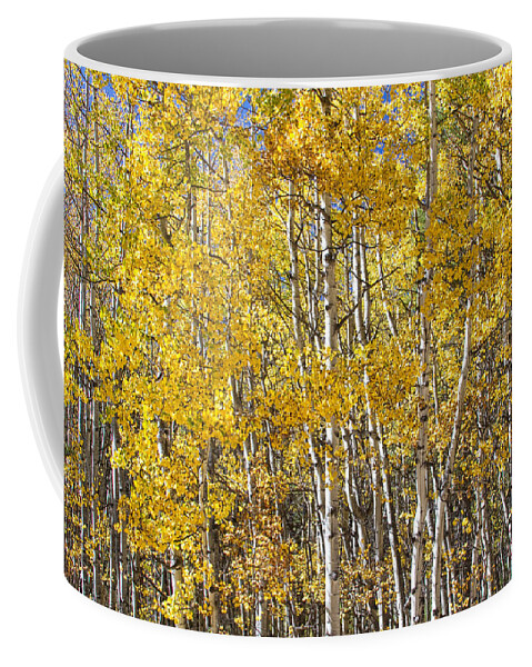 Aspen Coffee Mug featuring the photograph Missing You Already by James BO Insogna