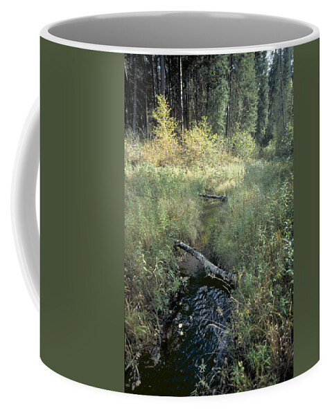 Mississppi River Coffee Mug featuring the photograph Mississippi River Headwaters by Garry McMichael