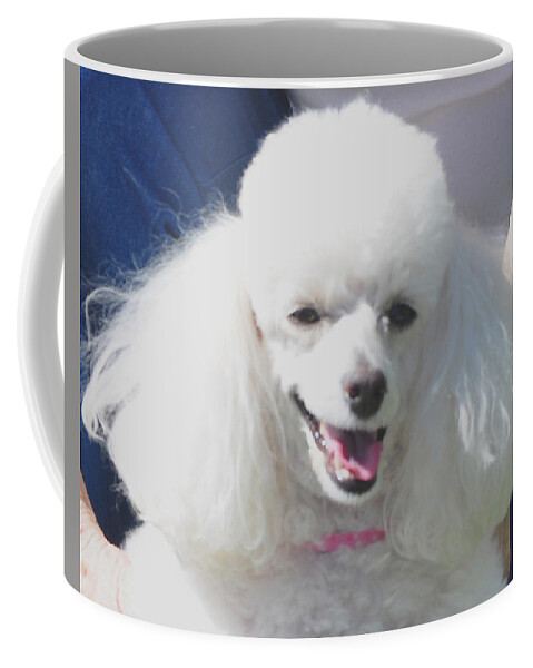 Animal Coffee Mug featuring the photograph Missy White Poodle by Jay Milo