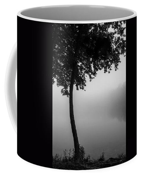  Coffee Mug featuring the photograph Mist and Serenity by Mark Rogers