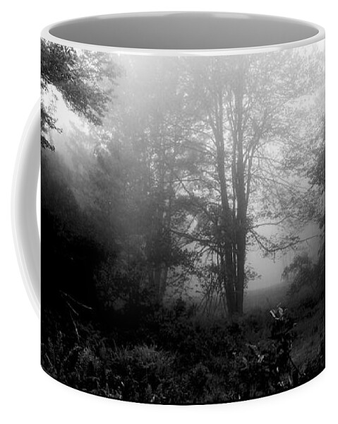 Misty Coffee Mug featuring the photograph Misty Morning with Tree Silhouettes by A Macarthur Gurmankin