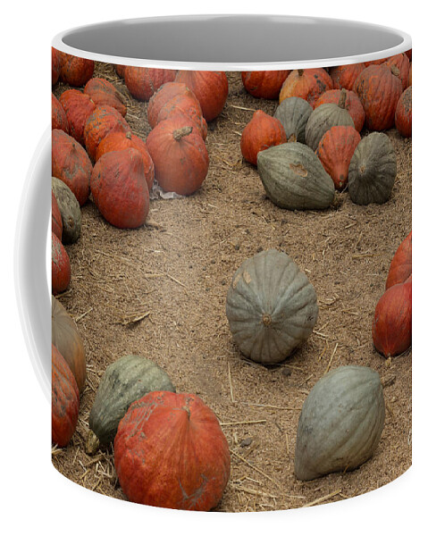 Pumpkins Coffee Mug featuring the photograph Mixed Pumpkins by Suzanne Luft