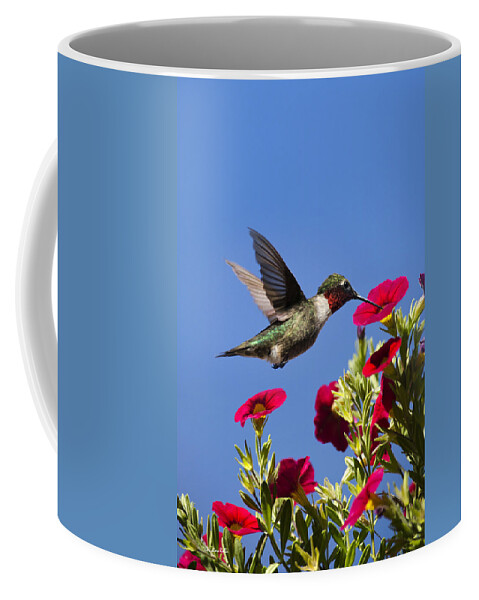 Hummingbird Coffee Mug featuring the photograph Moments of Joy by Christina Rollo