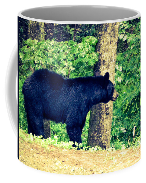 Black Bear Coffee Mug featuring the photograph Momma Bear by Jan Dappen