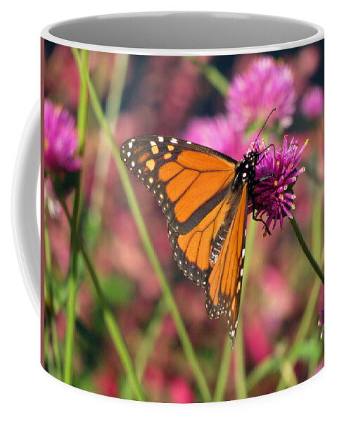 Butterfly Coffee Mug featuring the photograph Monarch Butterfly 02 by Pamela Critchlow