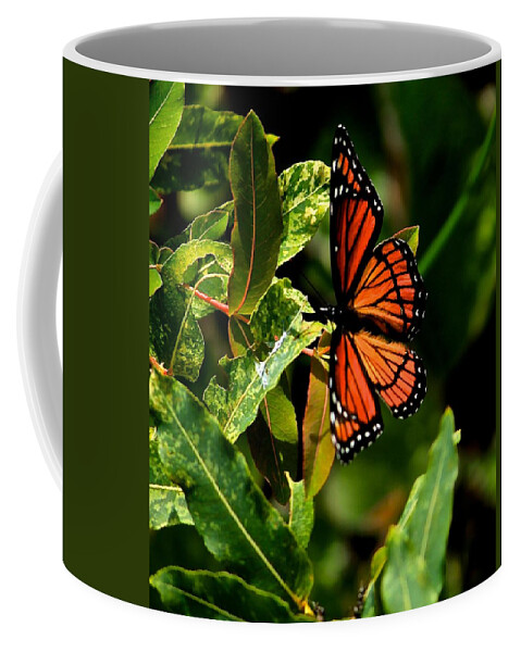 Viceroy Butterfly Coffee Mug featuring the photograph Viceroy Butterfly II by Michael Saunders