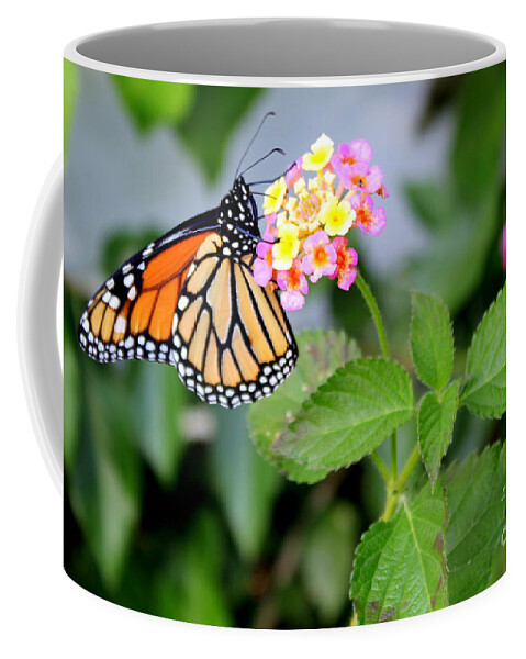 Monarch Butterfly Coffee Mug featuring the photograph Monarch Butterfly on a Flower by Kathy White