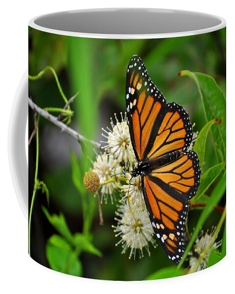 Monarch Butterfly Coffee Mug featuring the photograph Monarch Butterfly by Stacy Abbott