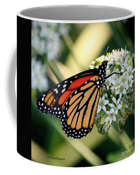 Butterfly Coffee Mug featuring the photograph Monarch Butterfly by Veronica Batterson