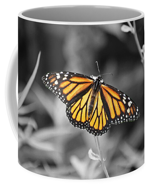Monarch Coffee Mug featuring the photograph Monarch in Its Glory by Susan Stevens Crosby