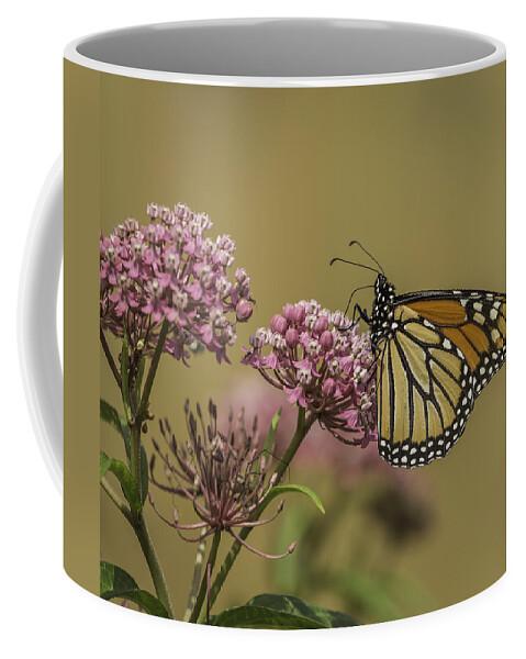 Wild Ones Coffee Mug featuring the photograph Monarch On Swamp Milkweed by Thomas Young