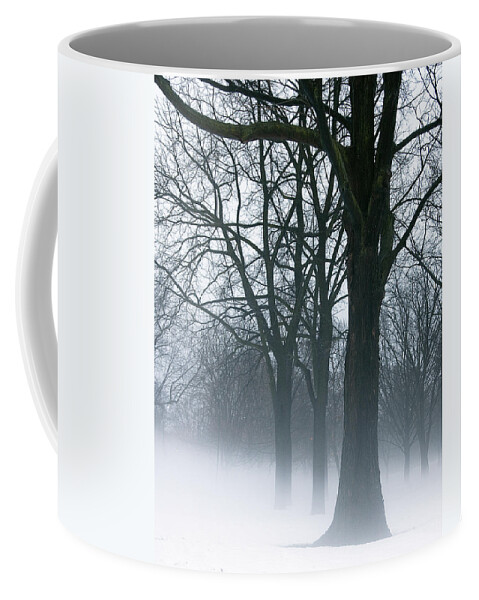 Monarch Park Coffee Mug featuring the photograph Monarch Park - 36 by Rick Shea