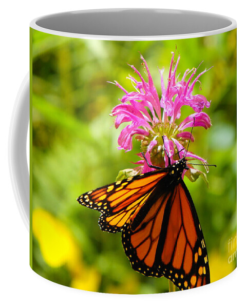 Monarch Coffee Mug featuring the photograph Monarch Under Flower by Erick Schmidt