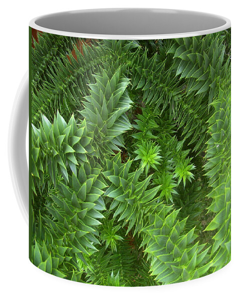 Monkey Coffee Mug featuring the photograph Monkey Puzzle by Steve Kearns