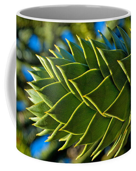 Green Coffee Mug featuring the photograph Monkey Puzzle Tree D by Tikvah's Hope