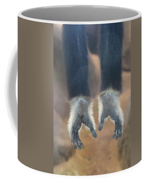 Monkey Coffee Mug featuring the photograph Monkeying Around by Christy Pooschke