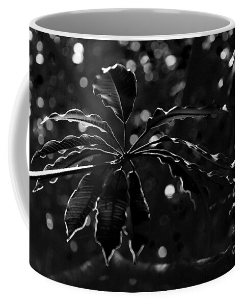 Black Coffee Mug featuring the photograph Monochrome leaf by Nicholas Burningham
