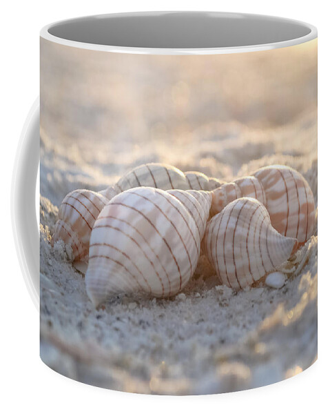 Seashore Coffee Mug featuring the photograph Mood to Moment by Melanie Moraga