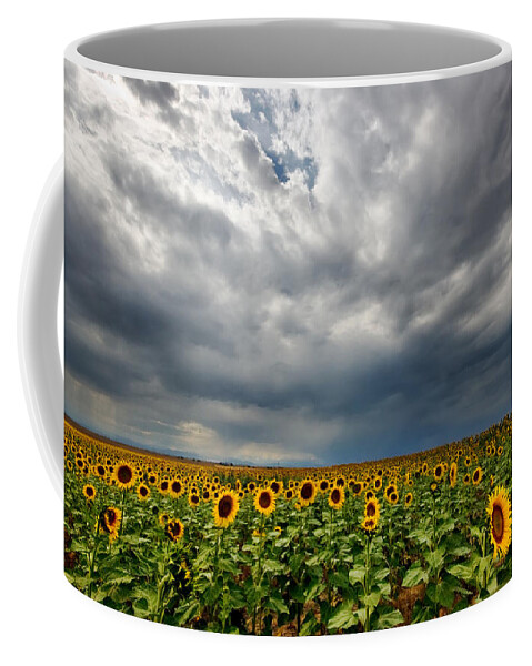 Sunflower Coffee Mug featuring the photograph Moody Skies over the Sunflower Fields by Ronda Kimbrow