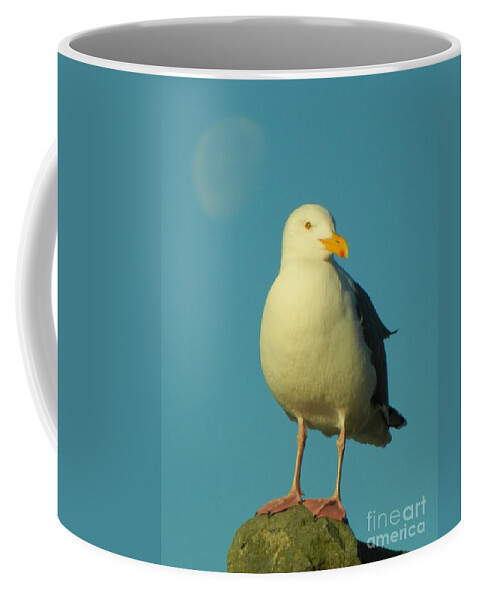 Birds Coffee Mug featuring the photograph Moon with Seagull by Gallery Of Hope 
