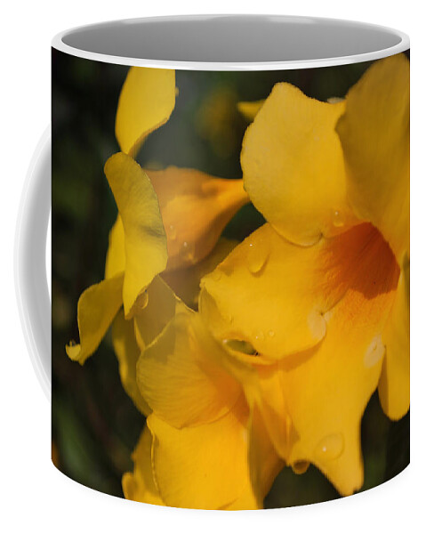 Tropic Flowers Coffee Mug featuring the photograph Morning Delight by Miguel Winterpacht