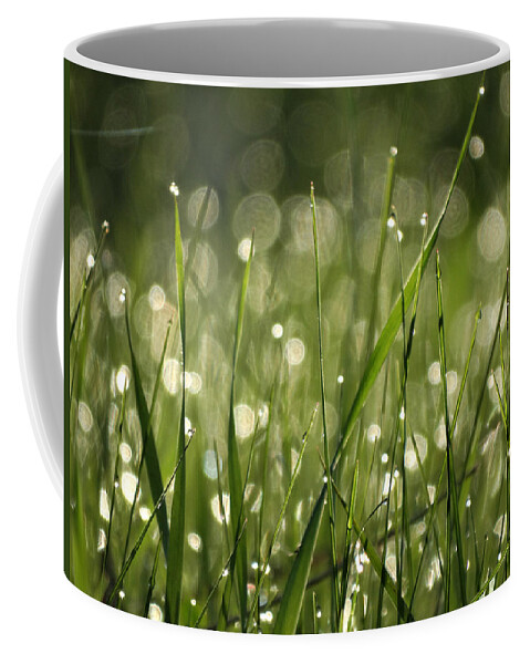 Dew Coffee Mug featuring the photograph Morning Dew by David T Wilkinson