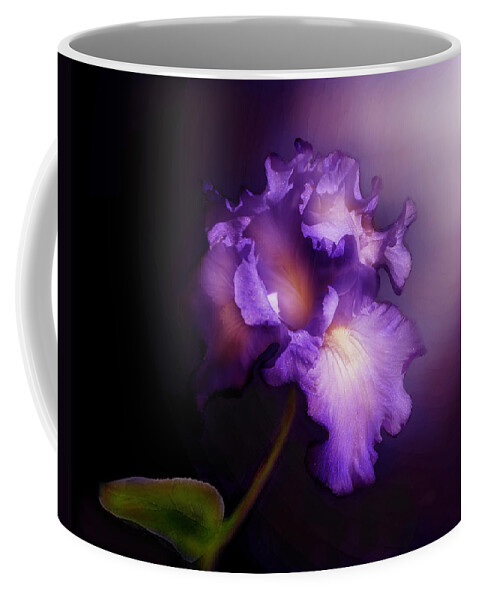 Morning Glory Coffee Mug featuring the photograph Morning Glory by Jennifer Page