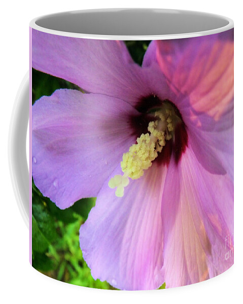 Purple Coffee Mug featuring the photograph Morning Glory by Robyn King