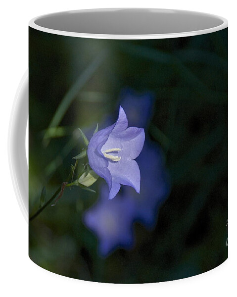 Photography Coffee Mug featuring the photograph Morning Light by Sean Griffin