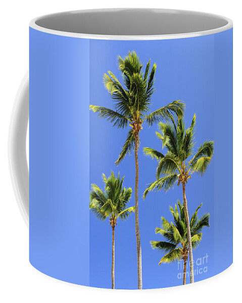 Palm Coffee Mug featuring the photograph Morning palms by Elena Elisseeva