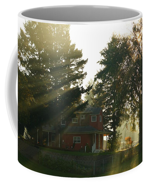 Morning Coffee Mug featuring the photograph Morning rays by Lynn Hopwood