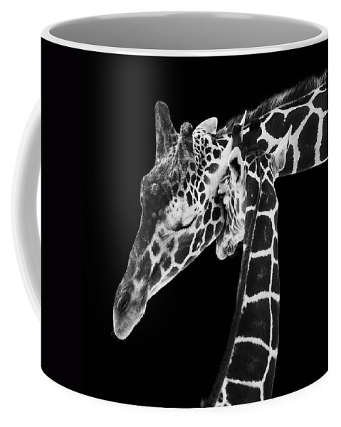 3scape Photos Coffee Mug featuring the photograph Mother and Baby Giraffe by Adam Romanowicz