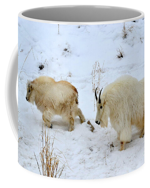 Mountain Goats Coffee Mug featuring the photograph Mother and Child by Dorrene BrownButterfield