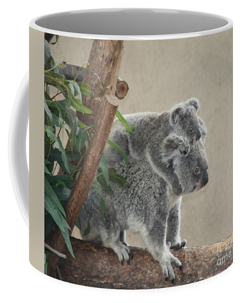 Mother And Child Koalas Coffee Mug featuring the photograph Mother and Child Koalas by John Telfer