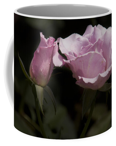 Flowers Coffee Mug featuring the photograph Mother and Daughter by Penny Lisowski