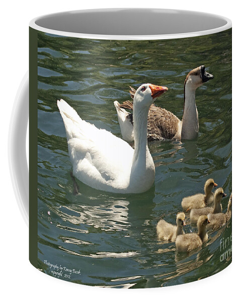 Animal Coffee Mug featuring the photograph Pilgrim Goose with African Goose and Five Goslings - Mother and Father Goose by Kenny Bosak