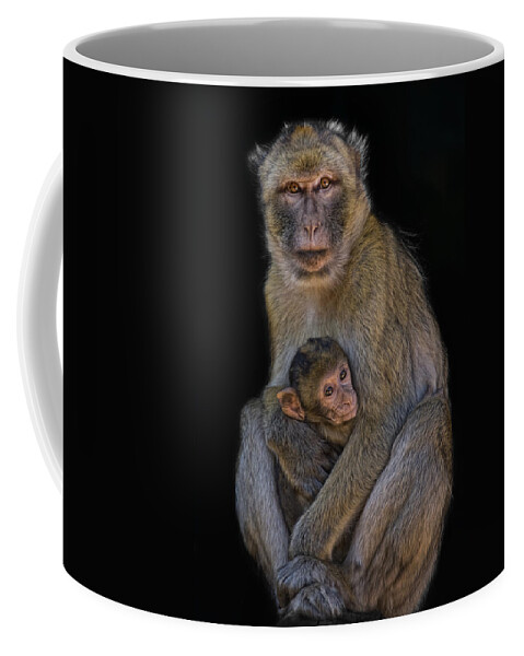 Animals Coffee Mug featuring the photograph Motherly Love by Joachim G Pinkawa